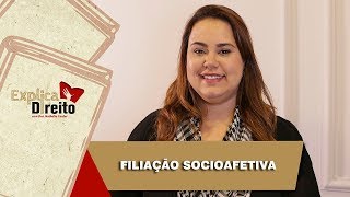 Explica Direito Filiação Socioafetiva  2019 [upl. by Neel912]