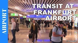 TRANSIT WALK AT FRANKFURT Airport FRA Terminal 1  Connection Flight Transfer Arriving amp Departing [upl. by Voletta]